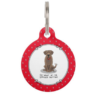 Spoiled Rottenschokolade Labrador Labrador Retriev Haustiermarke