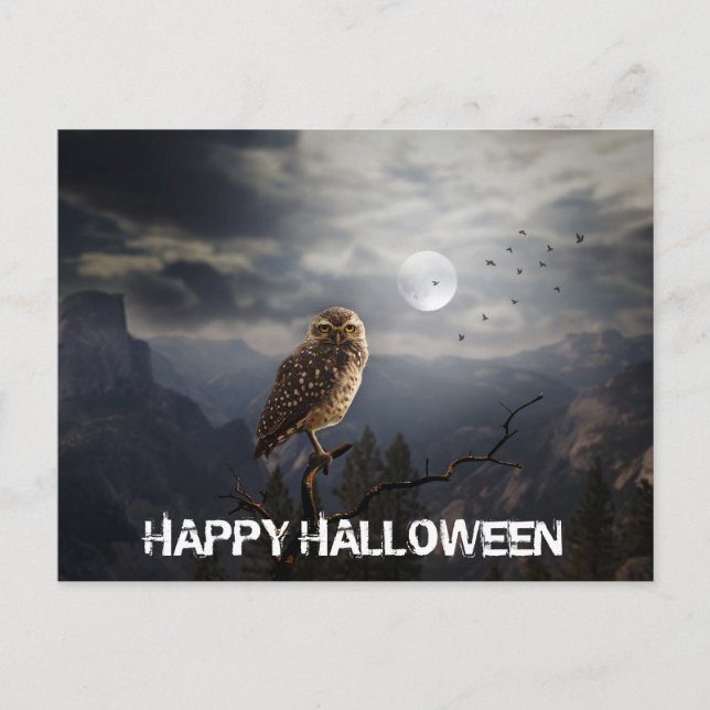 Spookes Owl und Full Moon Halloween Postkarte (Vorderseite)