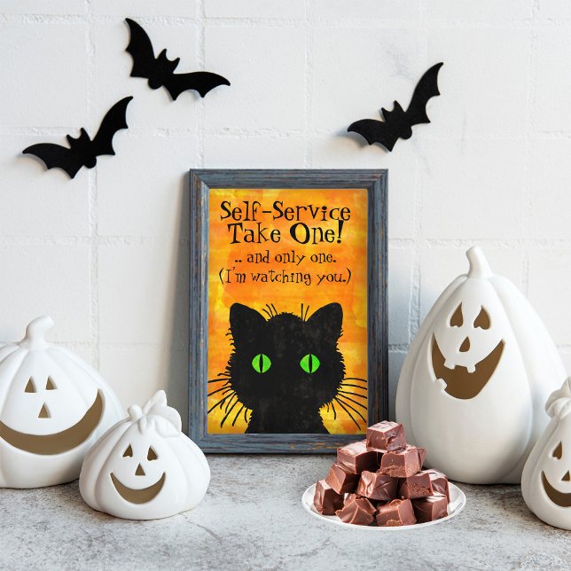 Spooky Black Cat Halloween Flyer (Black Cat Flyer Framed with Halloween Decorations.)