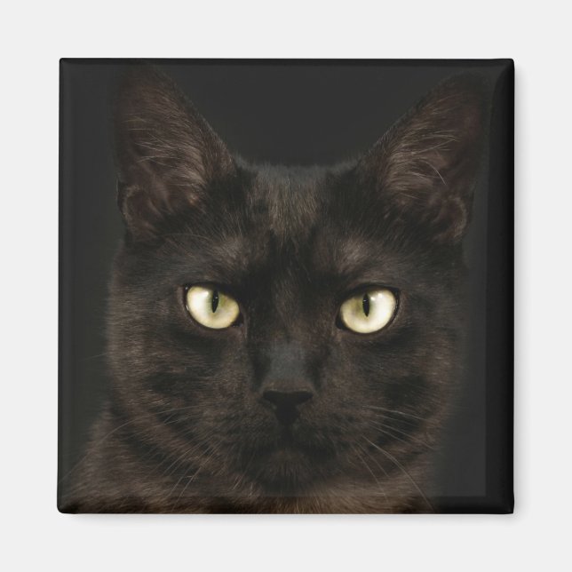 Spooky Black Cat Magnet (Vorne)
