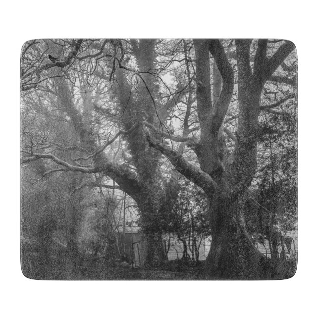 Spooky Forest Black and White Fotografy Schneidebrett (Vorderseite)
