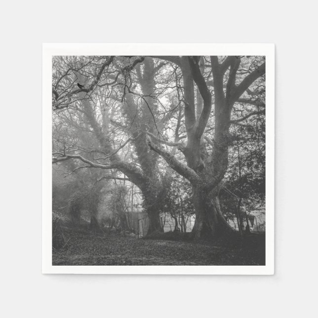 Spooky Forest Black and White Fotografy Serviette (Vorderseite)
