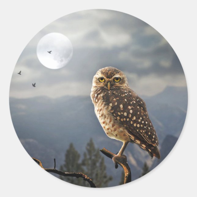 Spooky Owl Moon Graphic Runder Aufkleber (Vorderseite)