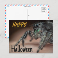 Spooky Spider Halloween Gruß