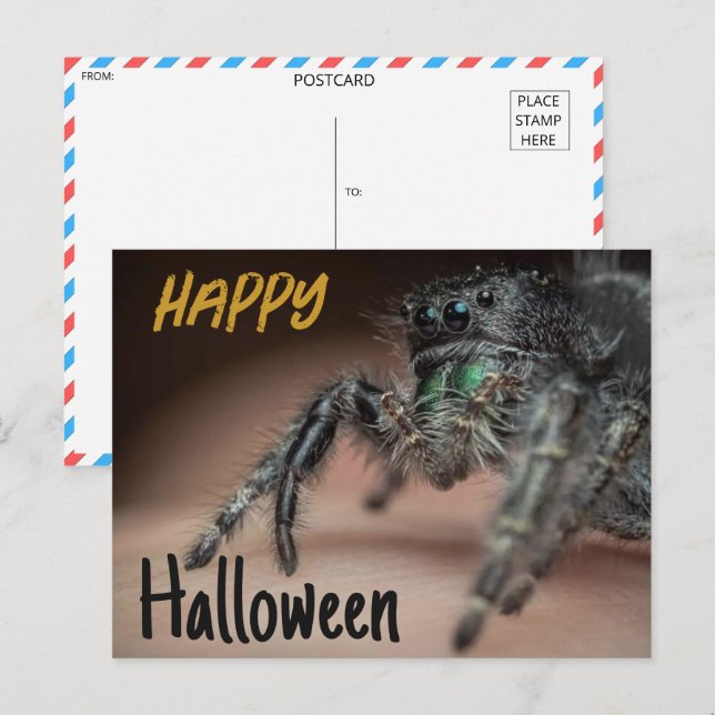 Spooky Spider Halloween Gruß Postkarte (Vorne/Hinten)