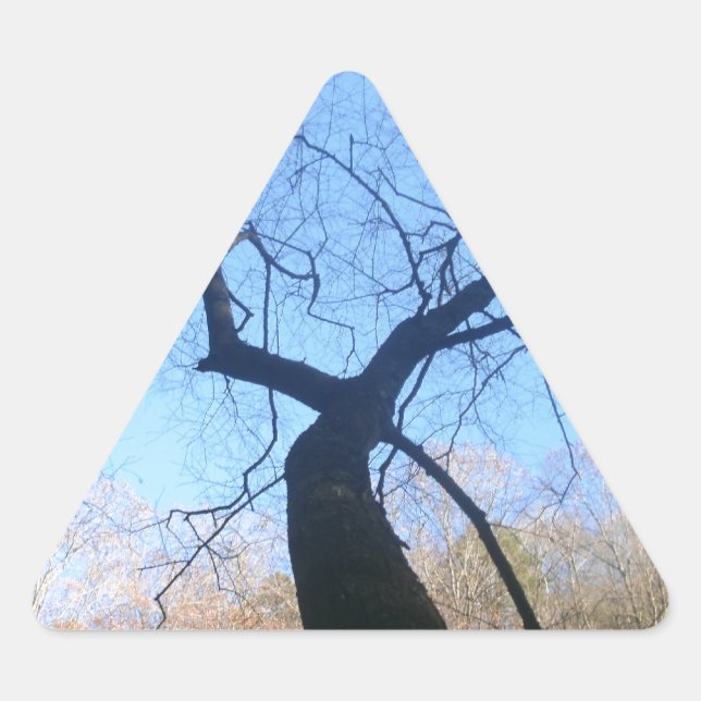 Spooky Tree Dreieckiger Aufkleber (Vorderseite)