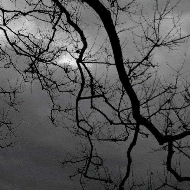 SPOOKY TREES HAPPY HALLOWEEN Faltkarte Karte (Von Creator hochgeladen)