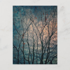 Spooky Trees Postkarte