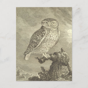 Spooky Vintag Screening Owl Halloween Postkarte