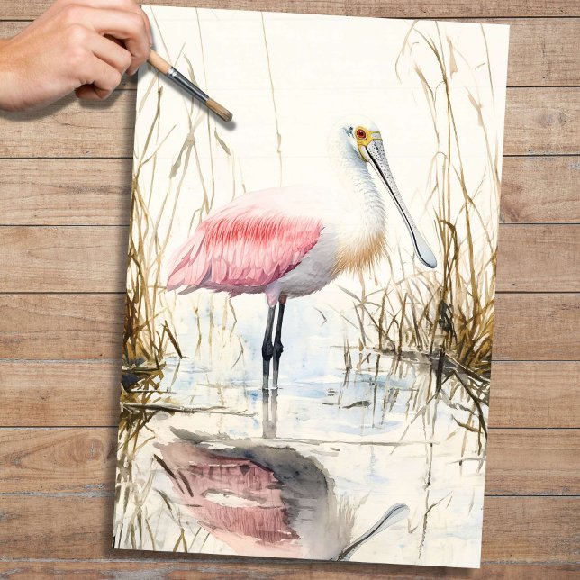 Spoonbill 1 Dekoupage Seidenpapier (Von Creator hochgeladen)