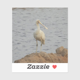 Spoonbill Bird Aufkleber