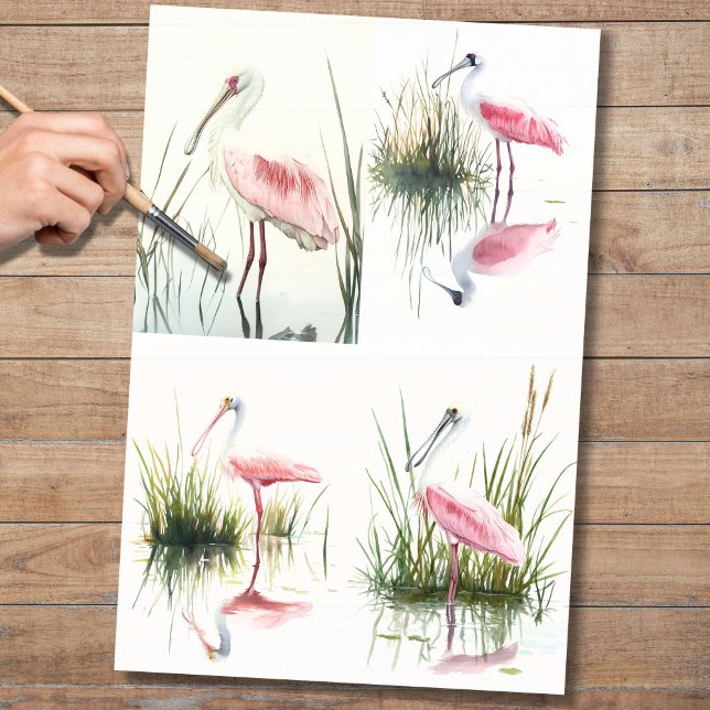 Spoonbill-Collage 2 Dekoupage Seidenpapier (Von Creator hochgeladen)