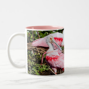 Spoonbill-Heiligtum: Verborgene Tasse
