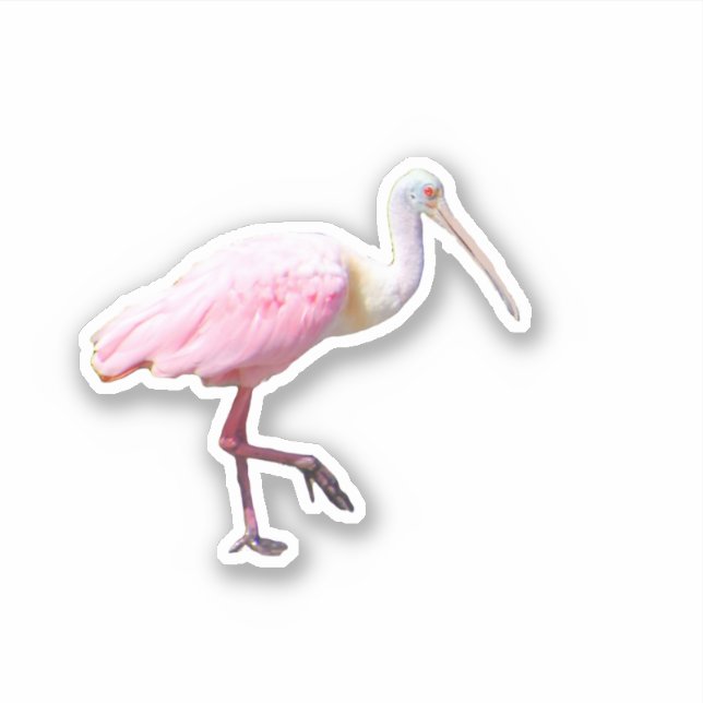 Spoonbill Vinyl Sticker (Vorderseite)