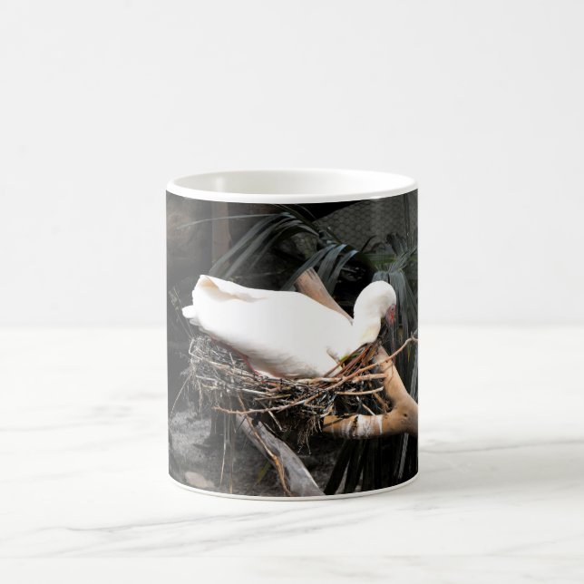 Spoonbill-Vogel in Spanien Kaffeetasse (Mittel)