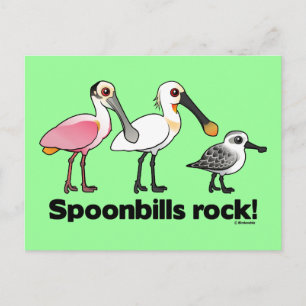 Spoonbills Rock! Postkarte