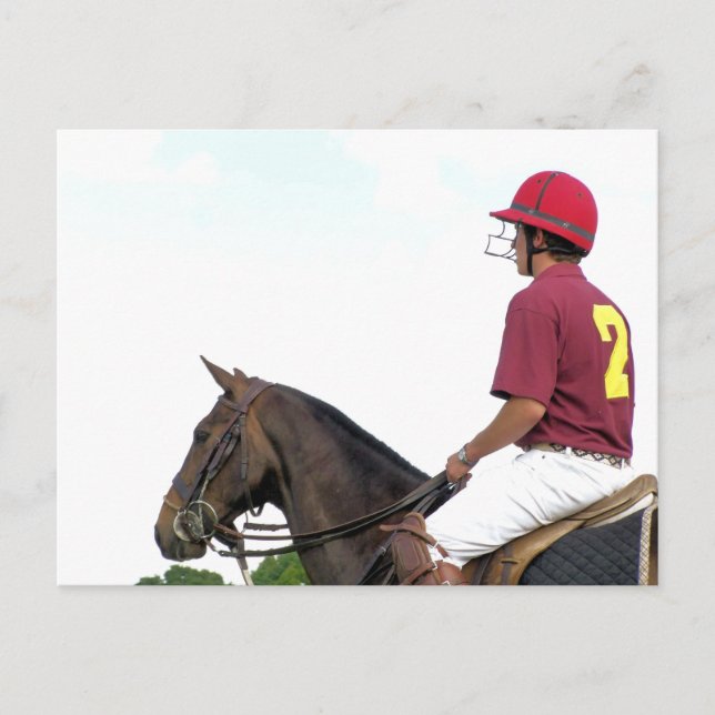 SPORTPFERDE POSTKARTE (Vorderseite)