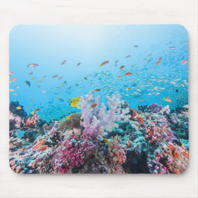 Sporttauchen mit buntem Riff und Koralle Mousepad (Vorne)