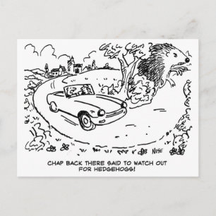 Sportwagenfahren auf dem Land. Lustig Postkarte