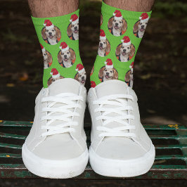 Sporty Green Pet Foto & Weihnachtsmannmützen auf H Socken