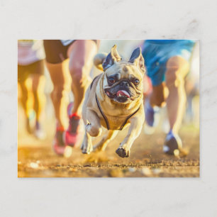 Sporty Pug Running During Exercise Postkarte
