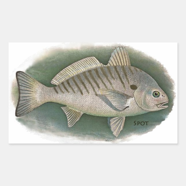 Spot Fish Logo Rechteckiger Aufkleber (Vorderseite)