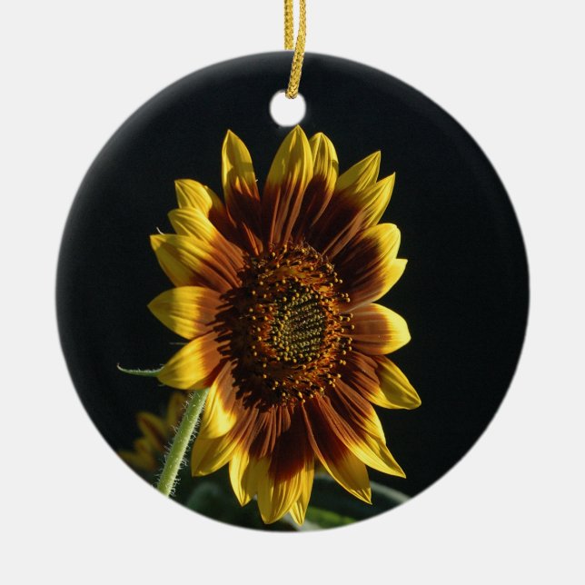 Spotlight auf einer schönen Sonnenblume Keramik Ornament (Vorne)