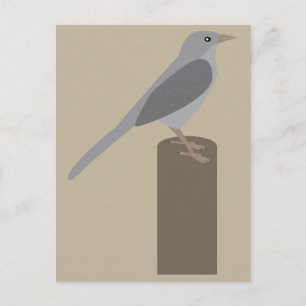 Spottdrossel Postkarte