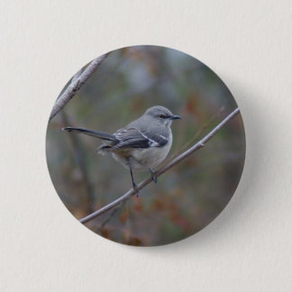 Spottdrossel-Vogelkunde Button