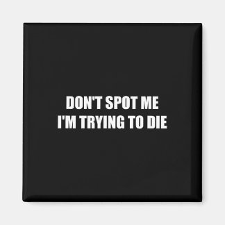 Spotte mir nicht, dass ich versuche, Die Magnet