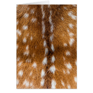 Spotted deer pour texture