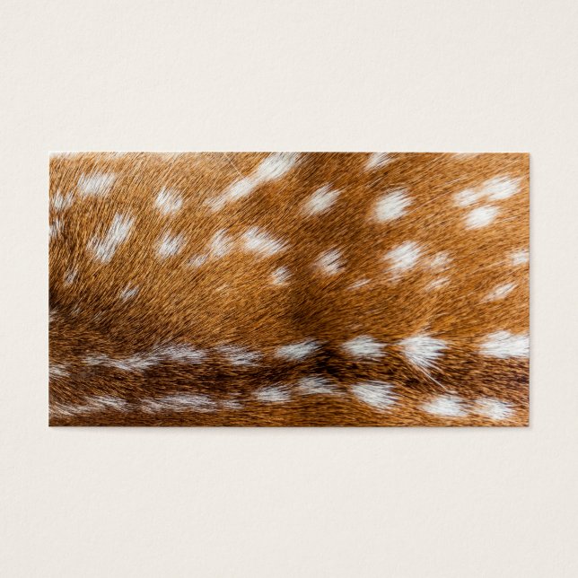 Spotted deer pour texture (Devant)