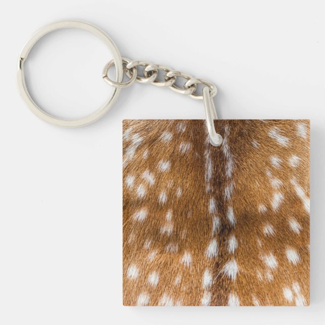 Spotted deer pour texture (Devant)