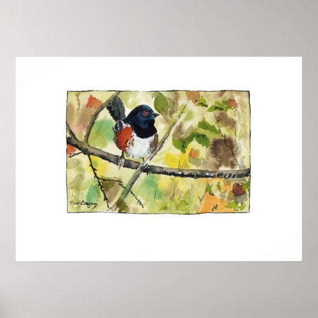 Spotted Towhee, bird image, wall art, decoration Poster (Vorne)