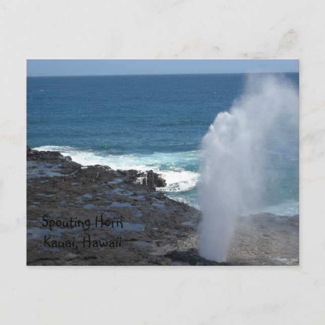 Spouting Horn Kauai, Hawaii Postkarte (Vorderseite)