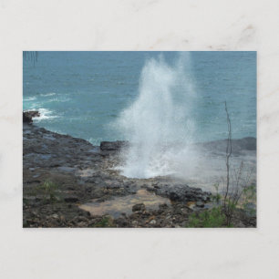 Sppouting Horn Postcard Postkarte