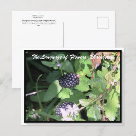 Sprache der Blume Die BlackBerry Postkarte
