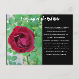 Sprache der Postkarte der Rose