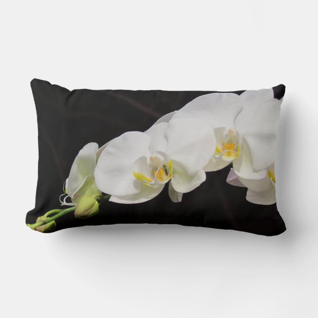 Spray der weißen Orchideen Lendenkissen (Vorderseite)