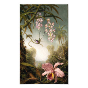 Spray-Orchideen mit Kolibri-Druck Fotodruck