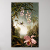 Spray Orchids mit Hummingbird Poster