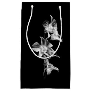 Spray von Orchideen in Schwarz und Weiß Kleine Geschenktüte