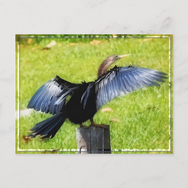 Spread Your Wings Postcard Postkarte (Vorderseite)