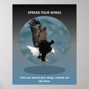 Spread-your-wings Poster