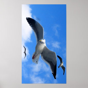 Spread Your Wings_Posterby Elenne Boothe Poster