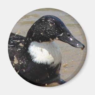 Sprechen Sie die Ente Magnet