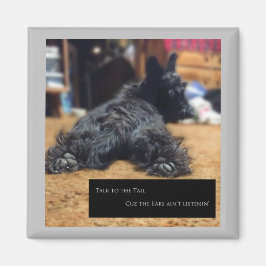 Sprechen Sie mit dem Schwanz Magnet