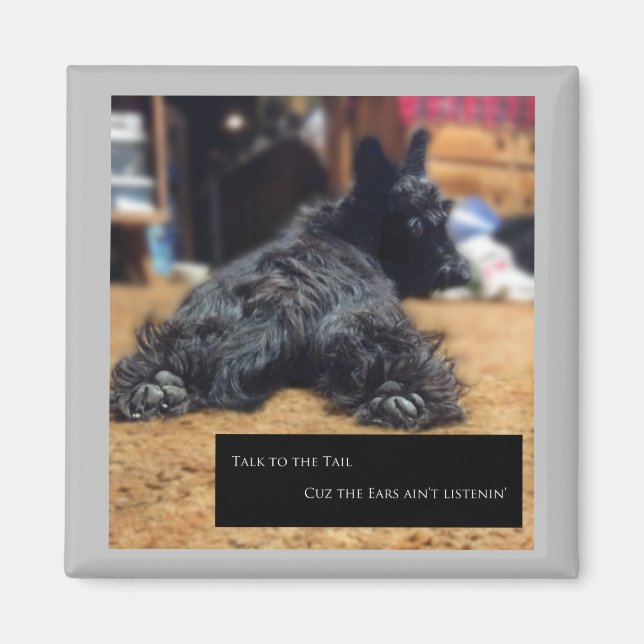 Sprechen Sie mit dem Schwanz Magnet (Vorne)