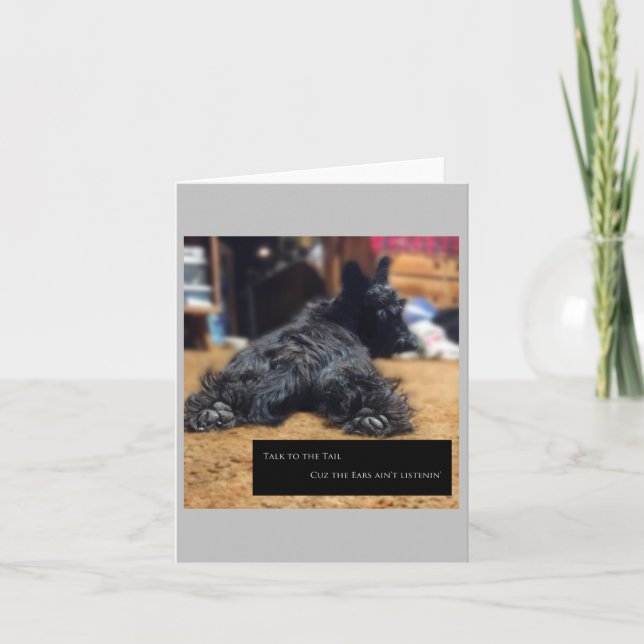 Sprechen Sie mit der Schwanz-Karte Karte (Vorderseite)