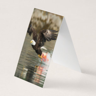Sprengladender Adler